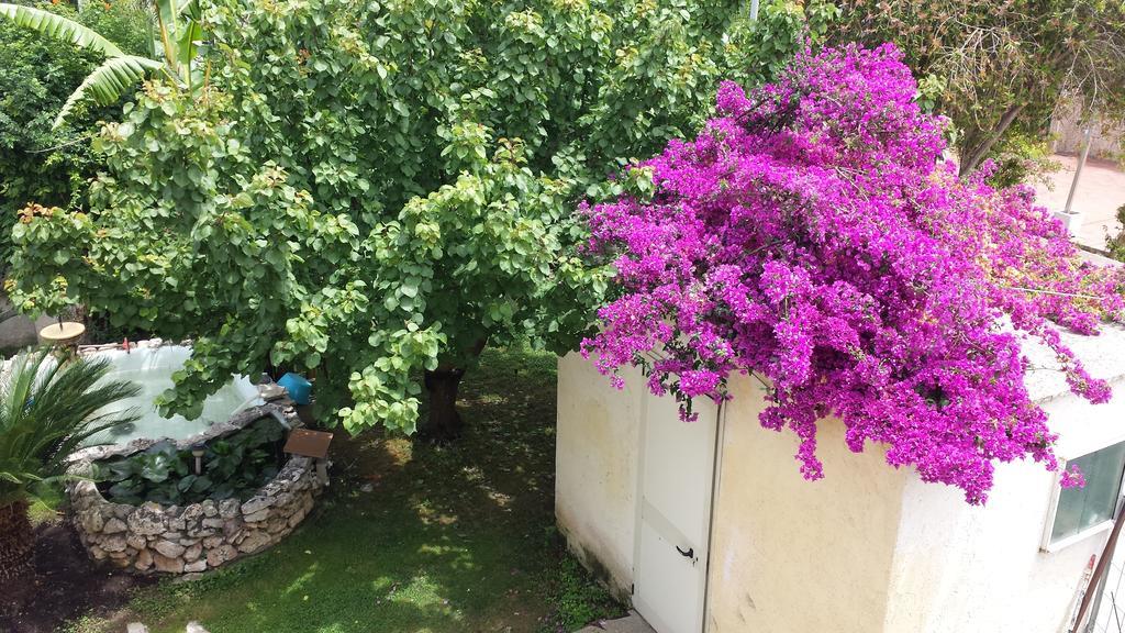 Vento Dell'Est Bed and Breakfast San Cataldo  Exteriör bild